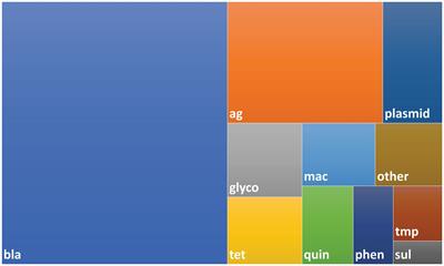 Targeted metagenomics using bait-capture to detect antibiotic resistance genes in retail meat and seafood